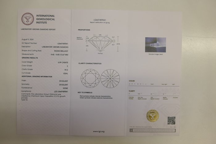 Ingen mindstepris - Øreringe - 18 kraat Gulguld -  6.12ct. tw. Diamant (Laboratoriedyrket)