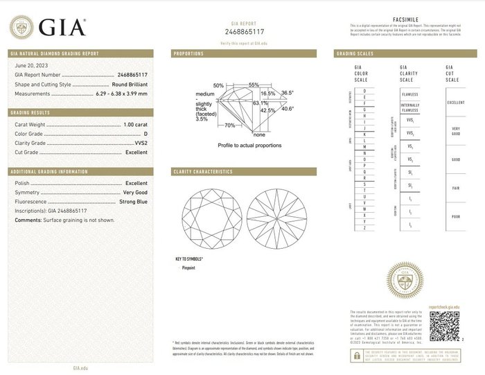 1 pcs Diamant  (Natur)  - 100 ct - Rund - D (farveløs) - VVS2 - Gemological Institute of America (GIA)