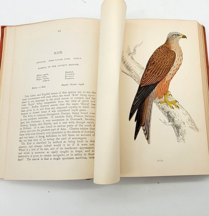 F. O. Morris - A history of British birds - 1863-1888