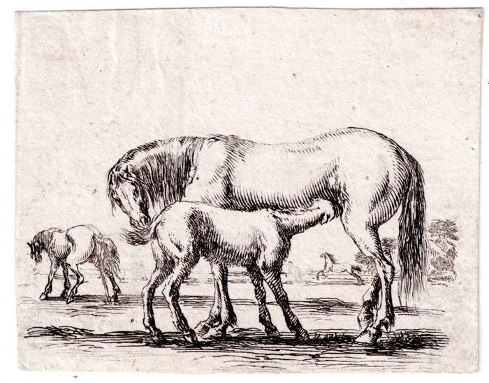 Stefano Della Bella (1610-1664) - A pair : three horses: + Horseman crossing a river