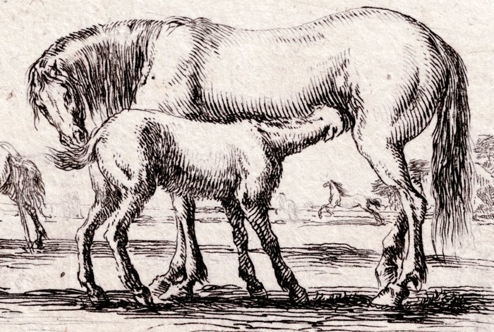 Stefano Della Bella (1610-1664) - A pair : three horses: + Horseman crossing a river