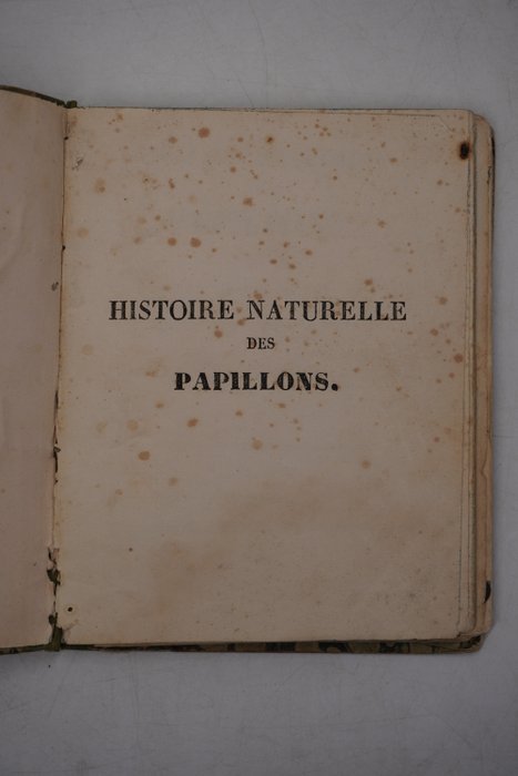 M. O. F. Constant - Histoire naturelle des papillons - 1840