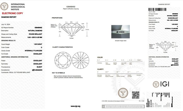 Øreringe - 18 kraat Hvidguld -  210ct tw Diamant (Natur)