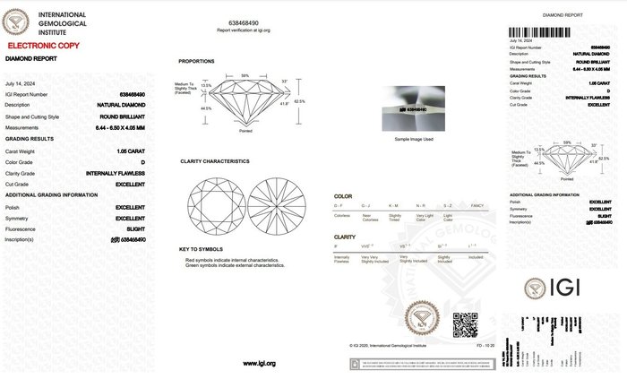 Øreringe - 18 kraat Hvidguld -  210ct tw Diamant (Natur)