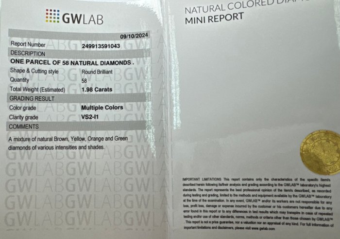 Ingen mindstepris - 58 pcs Diamant  (Naturfarvet)  - 1.98 ct - Rund Blandede farver - I1, SI1, SI2, SI3, VS2 - Gemewizard Gemological Laboratory (GWLab)