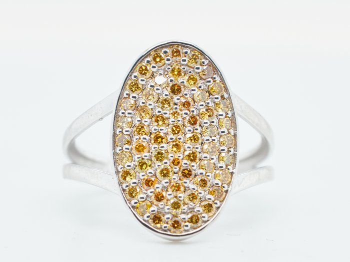 Ingen mindstepris - Ring 14 kt. -  1.02ct. tw. Diamant (Naturfarvet)