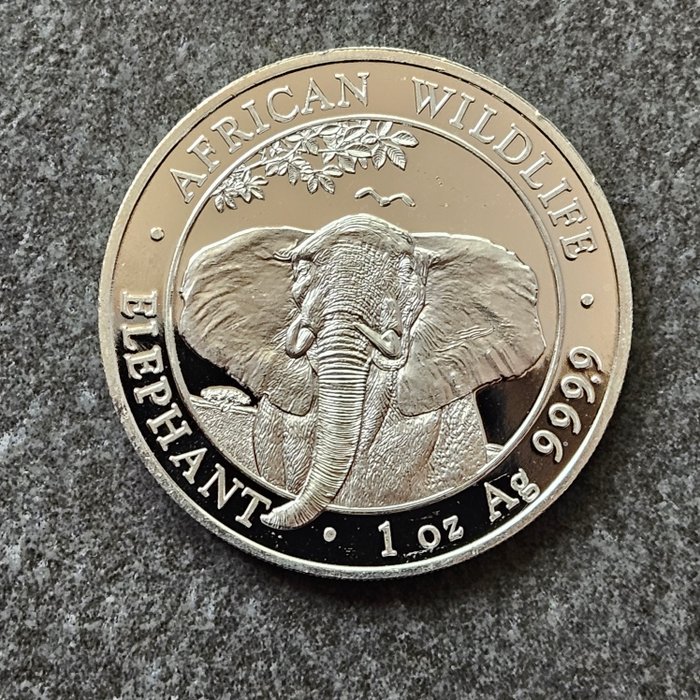 Somalia 100 Shillings 2021 Elephant 1 Oz (999)  (Ingen mindstepris)