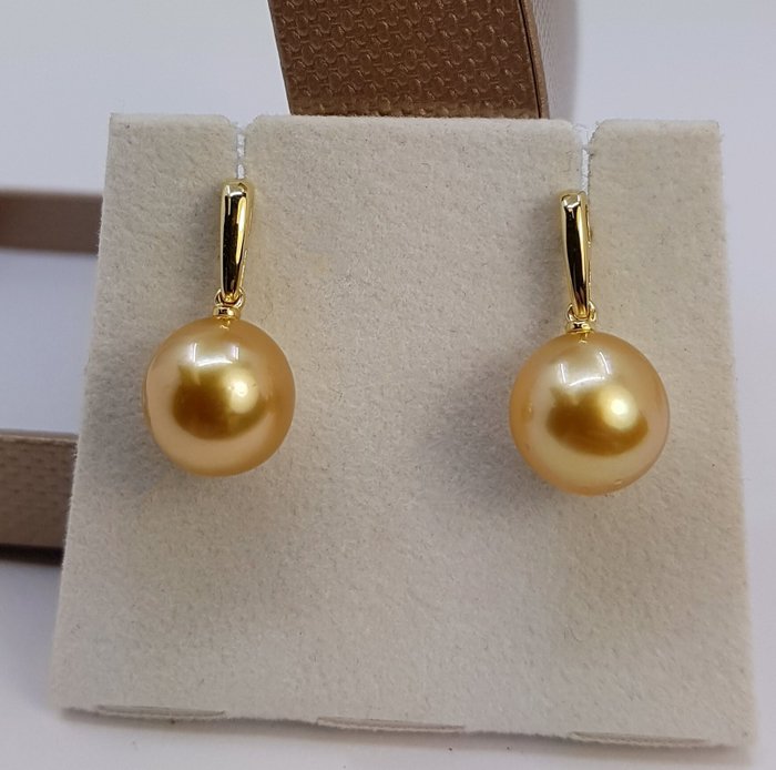 Øreringe - 14 karat Gulguld - 11x12mm South Sea Pearls