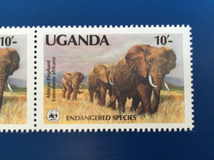 Uganda  - WWF Uganda