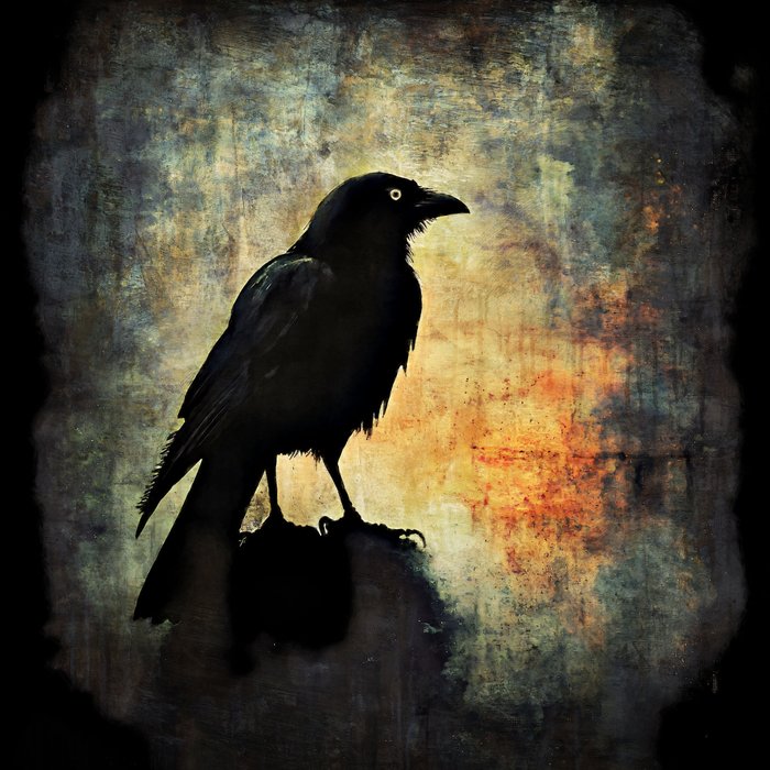 Wysocky John - The Crow