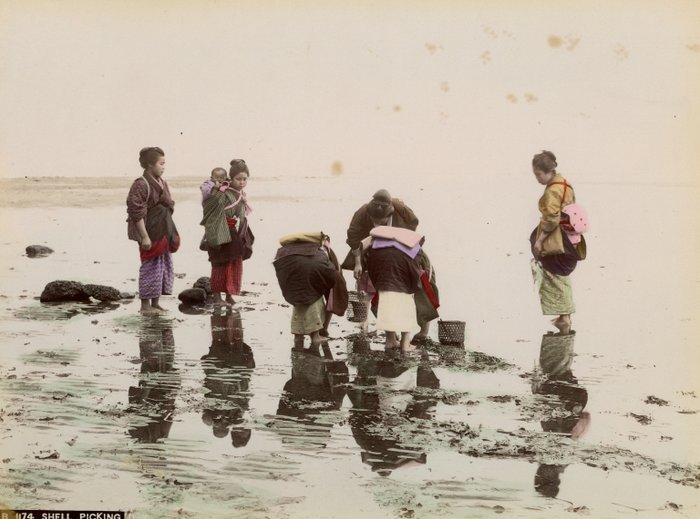 Kusakabe Kimbei, Farsari et divers Yokohama School - "Shell picking"