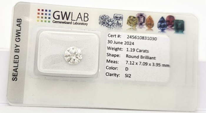 1 pcs Diamant  (Natur)  - 1.19 ct - Rund - D (farveløs) - SI2 - Gemewizard Gemological Laboratory (GWLab)