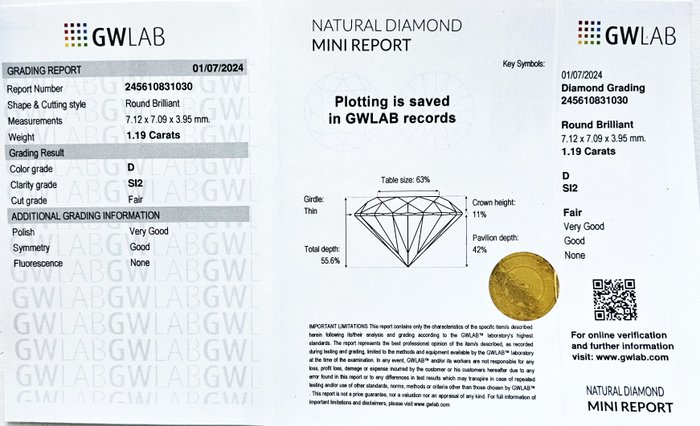 1 pcs Diamant  (Natur)  - 1.19 ct - Rund - D (farveløs) - SI2 - Gemewizard Gemological Laboratory (GWLab)