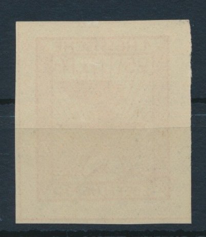 Det tyske kejserrige - Halvofficielle luftfartsfrimærker 1930 - Flystempel, 1. hessisk svæveflyverpost Herchenhain, 25 Pfennig pink, postfrisk/MNH ** - Michel Nr. 20