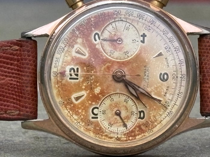 Olma - Chronographe Suisse - Ingen mindstepris - Smoky dial - Mænd - 1950-1959