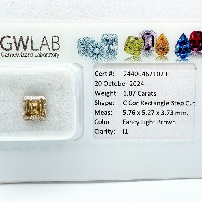 Ingen mindstepris - 1 pcs Diamant  (Naturfarvet)  - 1.07 ct - Rektangel - Fancy light Brun - I1 - Gemewizard Gemological Laboratory (GWLab)