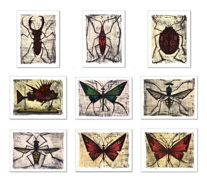 Bernard Buffet (1928-1999), d'après - Série sur les Insectes (9)