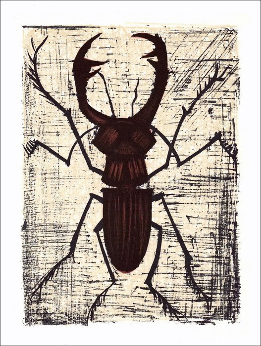 Bernard Buffet (1928-1999), d'après - Série sur les Insectes (9)