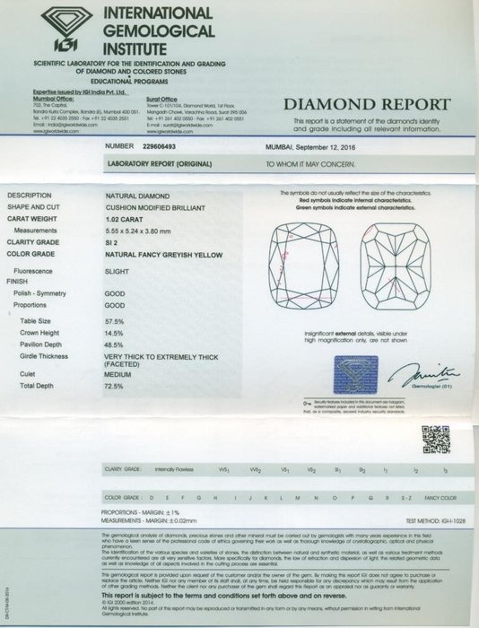 1 pcs Diamant  (Natur)  - 1.02 ct - Pude - SI2 - International Gemological Institute (IGI) - fancy grålig gul