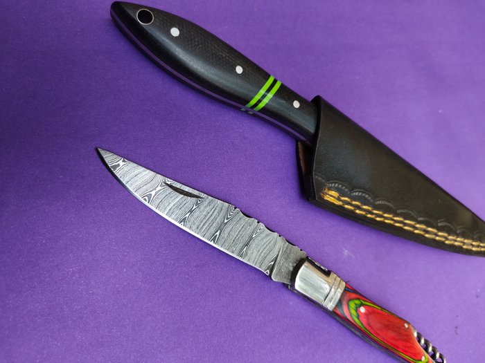 Køkkenkniv -  Laguiole Bougna" franske traditionelle knive 'personlige bøfknive" - Stål, Træ - Frankrig - Personlig samling