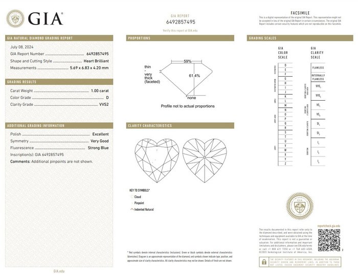 Ring - 18 kraat Hvidguld -  1.16ct. tw. Diamant (Natur) - Diamant - Top Ring