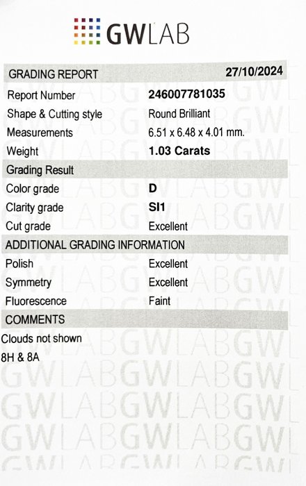 1 pcs Diamant  (Natur)  - 1.03 ct - Rund - D (farveløs) - SI1 - Gemewizard Gemological Laboratory (GWLab) - 3 X EX