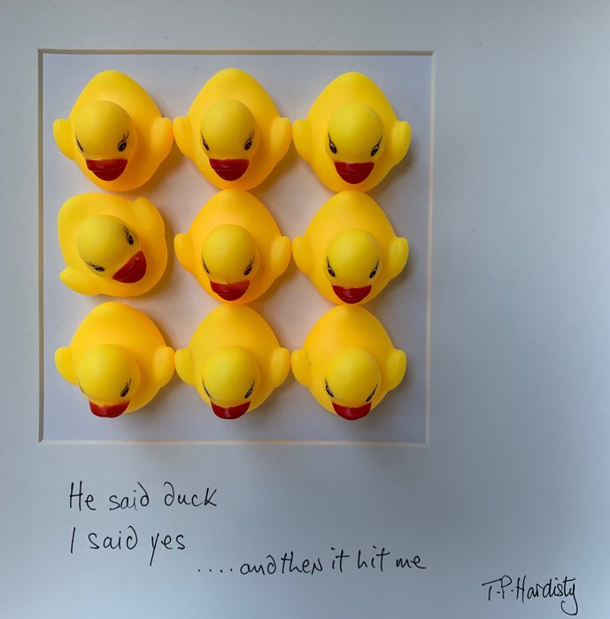 T P Hardisty - He said duck, I said yes … and then it hit me