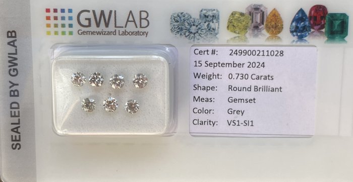 Ingen mindstepris - 7 pcs Diamant  (Natur)  - 0.73 ct - Rund - SI1, VS1 - Gemewizard Gemological Laboratory (GWLab) - Grå