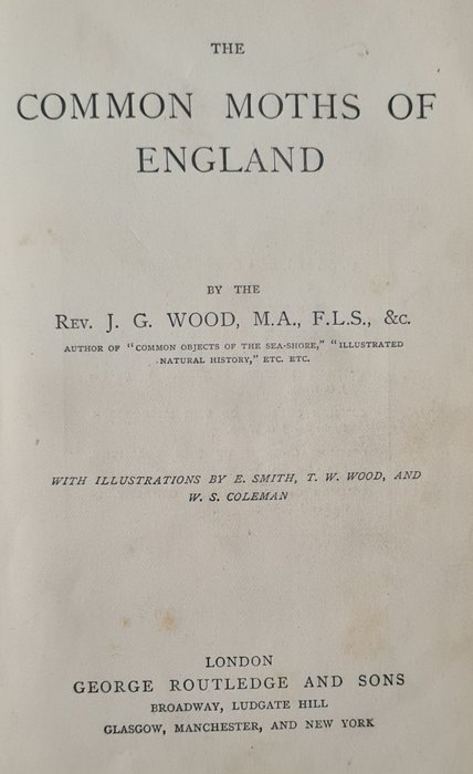 John George Wood - The common moths of England - 1870