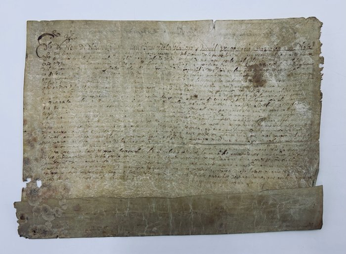 Desconocido - Manuscrito sobre pergamino Siglo XV Licencia para pasar ganado (Cataluña) - 1439