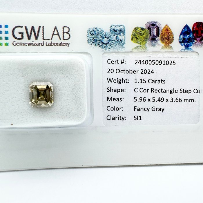 Ingen mindstepris - 1 pcs Diamant  (Naturfarvet)  - 1.15 ct - Rektangel - Fancy Grå - SI1 - Gemewizard Gemological Laboratory (GWLab)