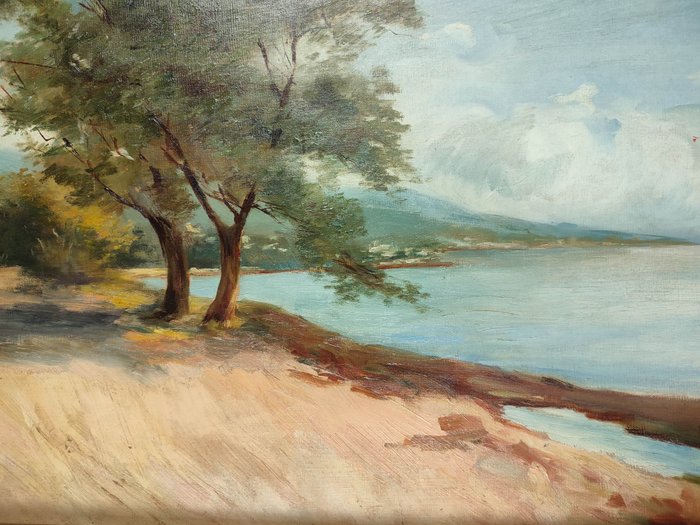 Paolo Sala (1859-1924) - Scorcio di lago