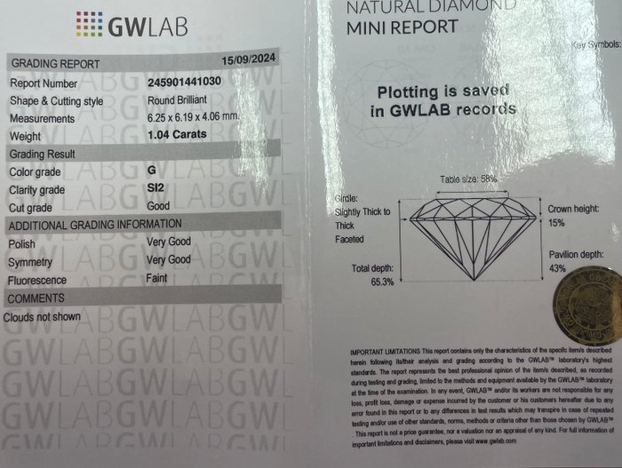 Ingen mindstepris - 1 pcs Diamant  (Natur)  - 104 ct - Rund - G - SI2 - Gemewizard Gemological Laboratory (GWLab)