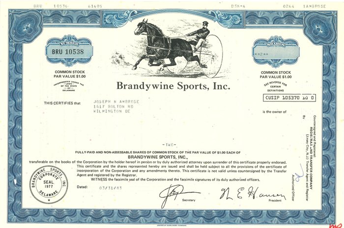 Förenta staterna. - 10 Bonds and Shares - Varie Date - Lotto n. 10 Collezione N. 10 Titoli storici USA grandi Industrie (Black Angus,  (Ingen mindstepris)