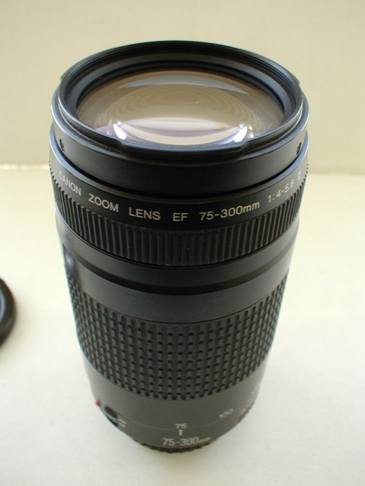 Canon EF 75-300mm F/4-5.6 II voor EOS Telelinse