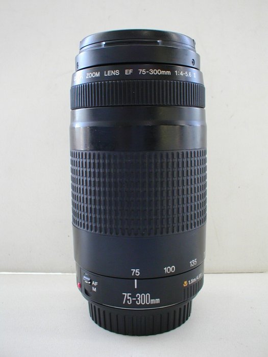 Canon EF 75-300mm F/4-5.6 II voor EOS Telelinse