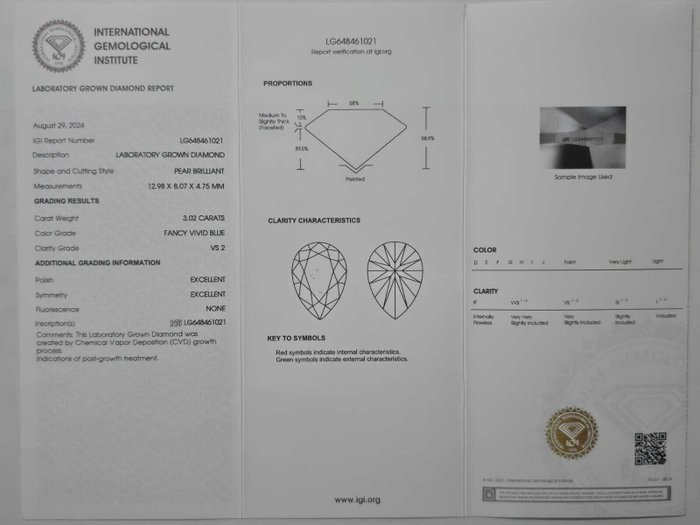 Øreringe Platin -  10.20ct. tw. Blå Diamant (Laboratoriedyrket diamant i fancy farver) - Diamant