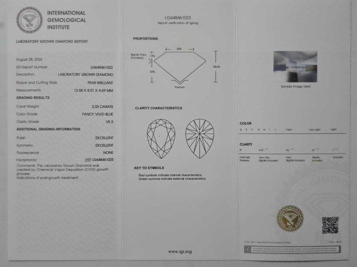 Øreringe Platin -  10.20ct. tw. Blå Diamant (Laboratoriedyrket diamant i fancy farver) - Diamant