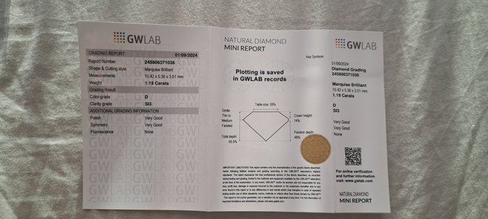 Ingen mindstepris - 1 pcs Diamant  (Natur)  - 119 ct - Marquise - D (farveløs) - SI3 - Gemewizard Gemological Laboratory (GWLab)