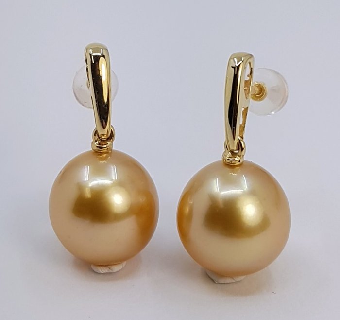 Øreringe - 14 karat Gulguld - 11x12mm South Sea Pearls