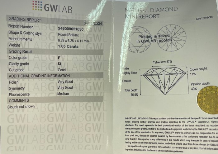 Ingen mindstepris - 1 pcs Diamant  (Natur)  - 1.05 ct - Rund - F - I3 - Gemewizard Gemological Laboratory (GWLab)