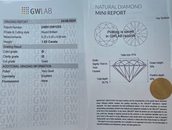 Ingen mindstepris - 1 pcs Diamant  (Natur)  - 1.03 ct - Rund - G - I2 - Gemewizard Gemological Laboratory (GWLab)