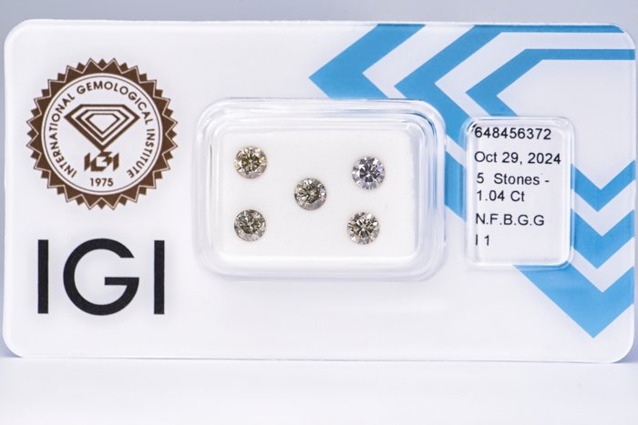 Ingen mindstepris - 5 pcs Diamant  (Naturfarvet)  - 1.04 ct - Rund - Fancy Brunlig, Grønlig Grå - I1 - International Gemological Institute (IGI)