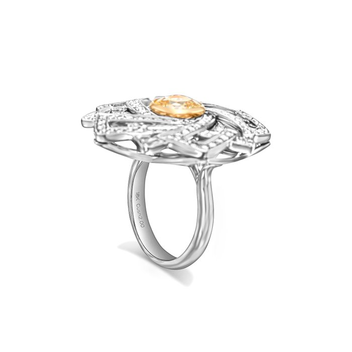 Statement-ring - 18 kraat Gulguld Hvidguld -  344ct tw Diamant (Natur) - Diamant