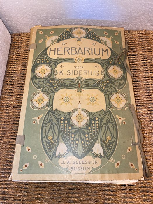 K Siderius - Een uniek herbarium verzameld door de Nederlandse natuuronderzoeker AC van der Braam Het - 1929-1941