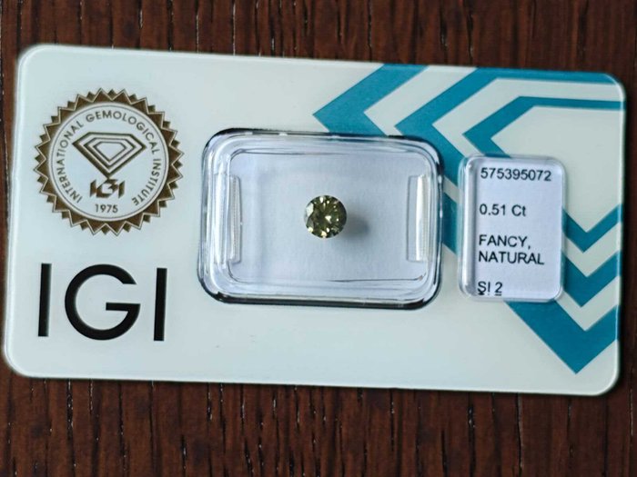 1 pcs Diamant  (Natur)  - 0.51 ct - SI2 - International Gemological Institute (IGI)