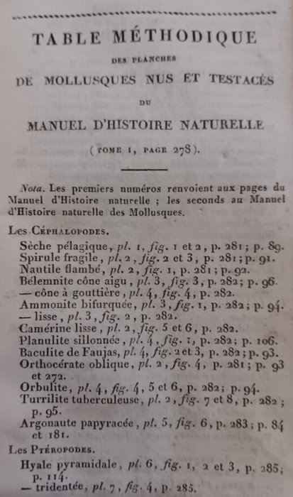 M. Sander Rang - Manuel de l'histoire Naturelle des Mollusque - 1829