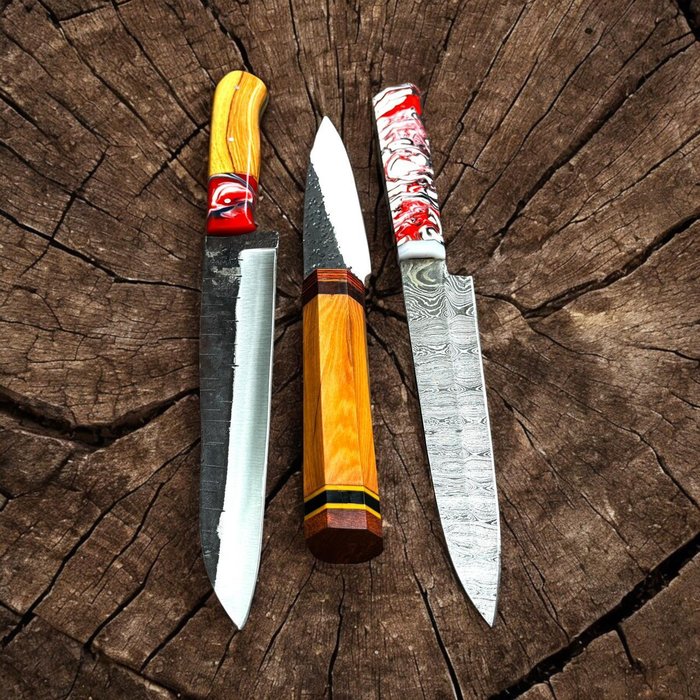 Køkkenkniv - Chef's knife - Stål, Professionelt japansk køkken 3, af slags knive, smedet med 440c  snoet 1095 stål, naturligt - Japan