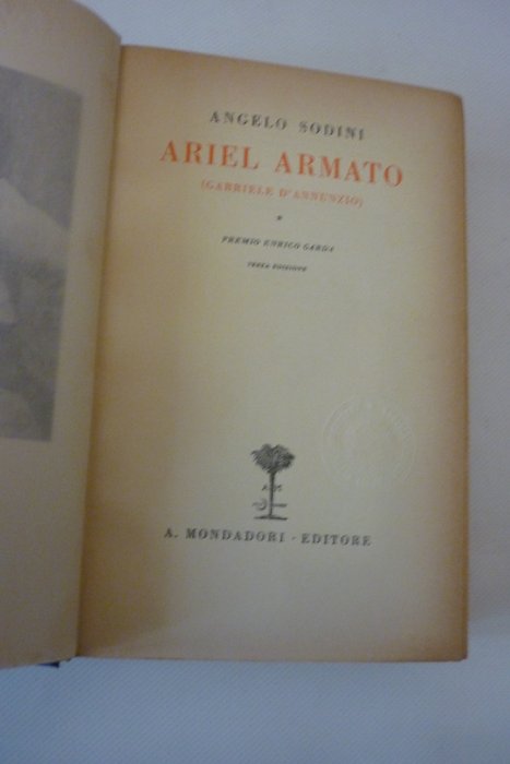 Sodini - Laredo De Mendoza - D'Annunzio - Ariel Armato + D'Annunzio Combattente - 1931