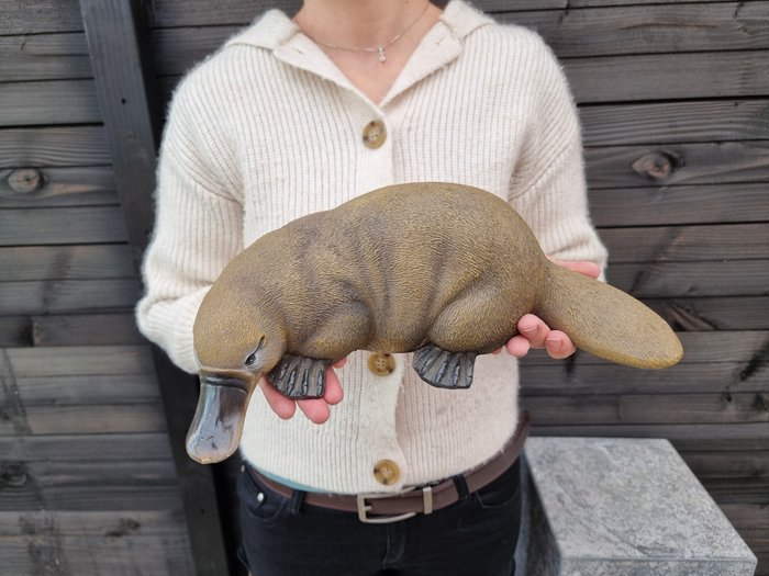 Statue Large Realistic Platypus - 8 cm - Harpiks